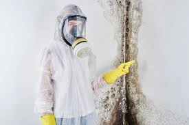 Best Asbestos and Lead Testing During Mold Inspection in Huntington, UT